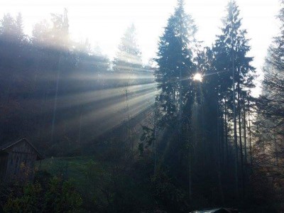 Sporočilo angelov za teden od 19.6 do 25.6.2016