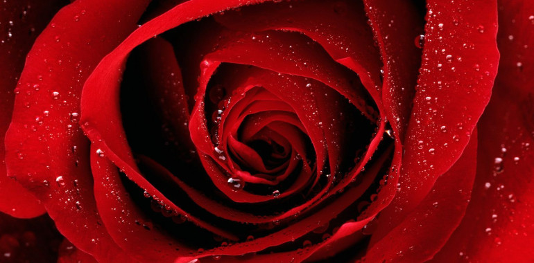 Meditacija: Zdravljenje 1. čakre z Arkturijci in drugimi mojstri