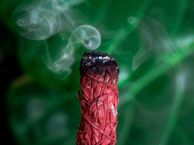 Žajbelj, ki je obdan z rdečo zmajevo krvjo iz Sumatre?