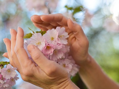 Reiki – kaj drži in kaj ne?