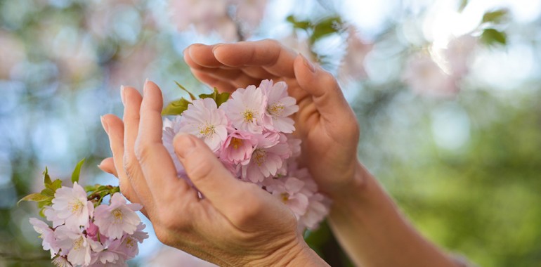 Reiki – kaj drži in kaj ne?