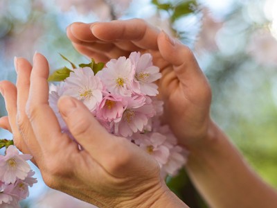 Šola naravnega zdravljenja v Ljubljani!