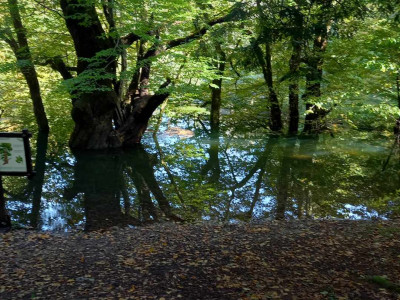 Upanje ostaja, jutri bo