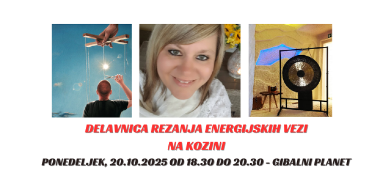 Delavnica rezanja energijskih vezi na Kozini