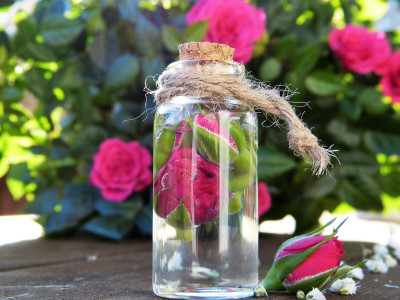 Uporaba hidrolatov na energetski ravni