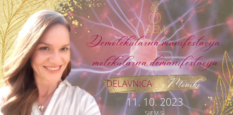 DMMD - delavnica telesnega procesa