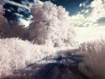 Kaj nam sporočajo sanje?