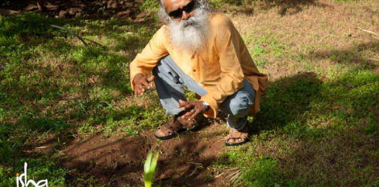 Sadhguru: vsako sekundo izgubimo hektar tal – kako lahko tudi ti pripomoreš k ohranitvi prsti?