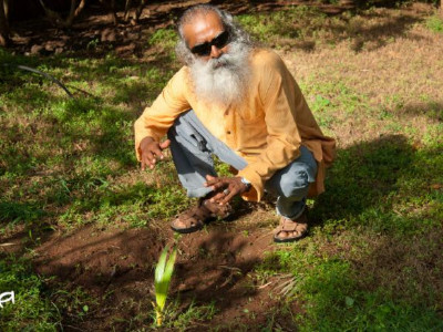 Sadhguru: vsako sekundo izgubimo hektar tal – kako lahko tudi ti pripomoreš k ohranitvi prsti?