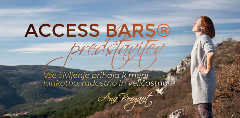 Access Bars® predstavitev v živo ali online