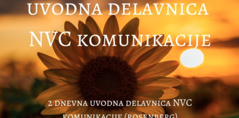 NVC komunikacija (Rosenberg) in emocionalna inteligenca