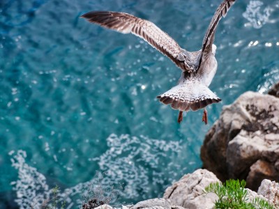 Tedenska numerološka napoved 22. - 28. 4. 2019