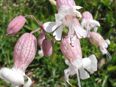 Duhovnost, kaj je to?