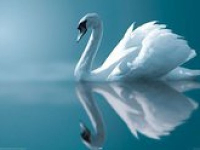 Skrivnost uspešnega preusmerjanja misli