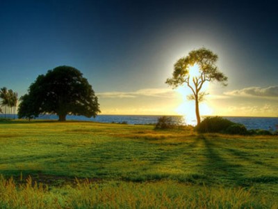 Ali misliš, da si "šef" svojega življenja?