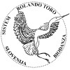 Šola biodanze v Sloveniji, šola biodanze po sistemu Rolando Toro
