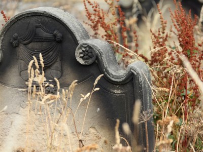 4 najpogostejša obžalovanja umirajočih