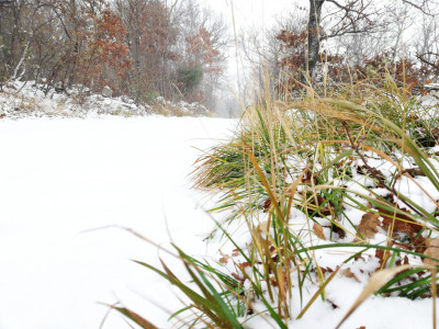 Psihološki vplivi rumenih, rdečih in še kakšnih alarmov