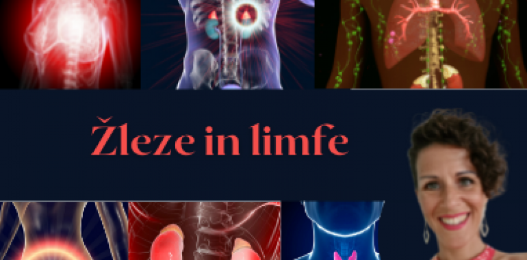 Žleze in limfe – delavnica za odpravo nepravilnosti