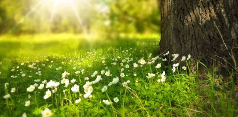 Praznovanje pomladnega enakonočja - zvočna kopel, meditacija 