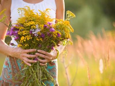 Sporočilo za maj: kar boste sedaj sejali, to boste želi!