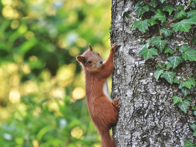 Tedenski intuitivni namig: zavedaj se življenja tukaj in zdaj!