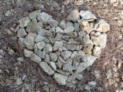 Tam kjer je srce tam je dom