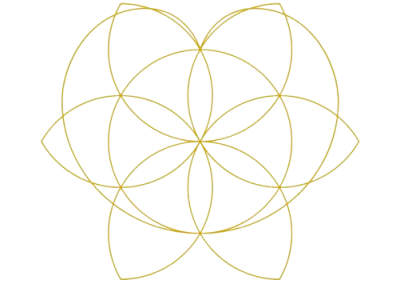   Popolna prenova  čustvene energije srca