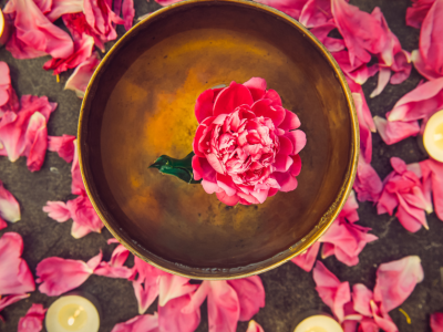 Stik z življenjskim elixirjem