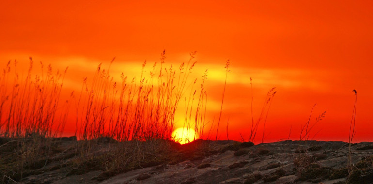 Misel iz Tečaja čudežev: Mir ali bolečina?