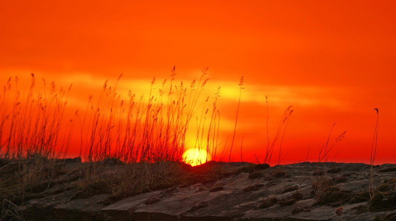 Misli iz Tečaja čudežev