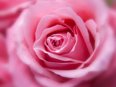 Brezpogojna ljubezen