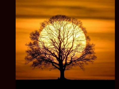 Solsticij, prehod, nov začetek