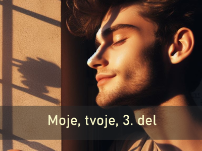 Moje, tvoje 3. del