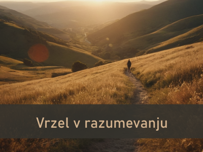Vrzel v razumevanju