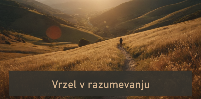 Vrzel v razumevanju