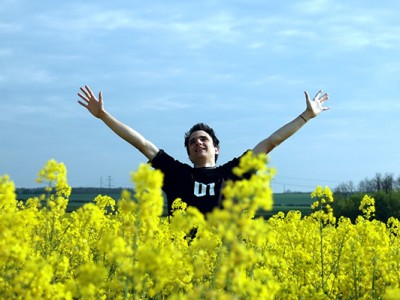 Polja realnosti – morfična polja