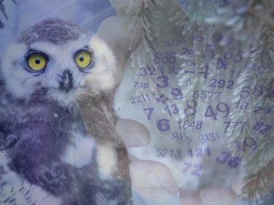 Tedenski numerološki namig 17.- 23. 12. 2018