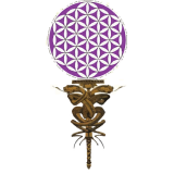 Modre knjige, spodbujanje duhovne kulture, raziskovanju zavesti in oblikovanju zdrave družbe