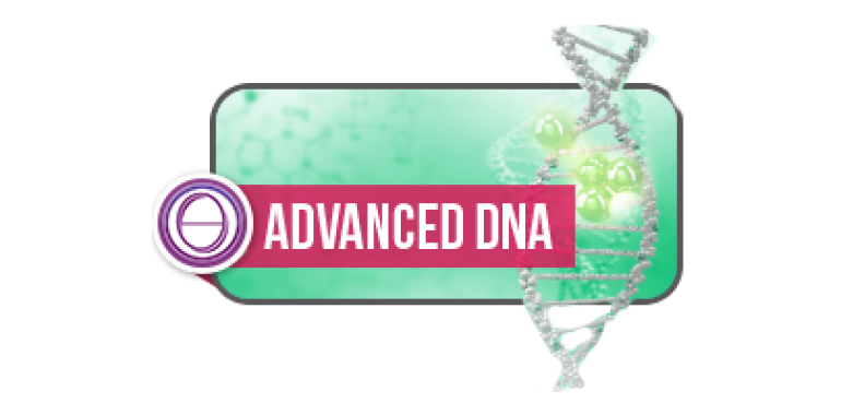 ThetaHealing® nadaljevalni seminar