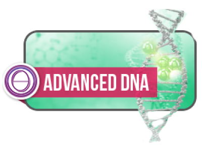 ThetaHealing® nadaljevalni seminar