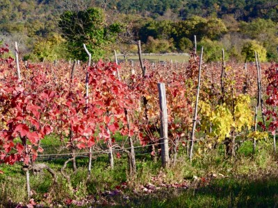 Negativni Spomini in Premik