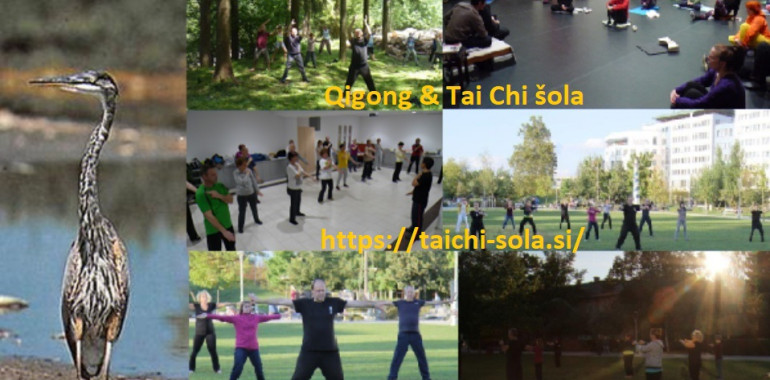 Društvo Tolmun, tai chi, qi-gong