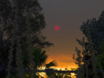 Popolni krvavi lunin mrk v ribah – september 2025