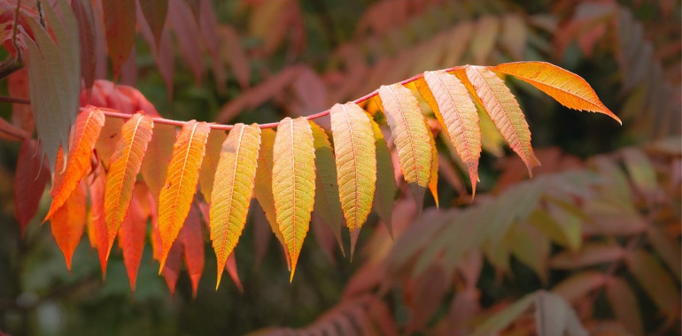 Energijski tok tedna (3. - 9. 11. 2025): dovoli si delovati