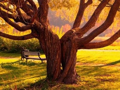 3 vprašanja, ki si jih morate zastaviti glede potencialnega partnerja