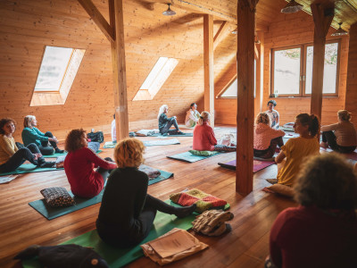 Hormonska joga terapija