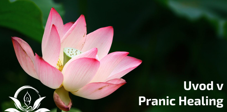 Uvod v Pranic Healing