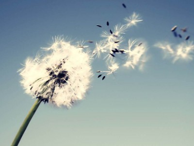 Kaj potrebuje doša vata?