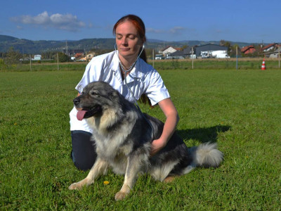 Prva veterinarska ambulanta s ponudbo reikija v Sloveniji